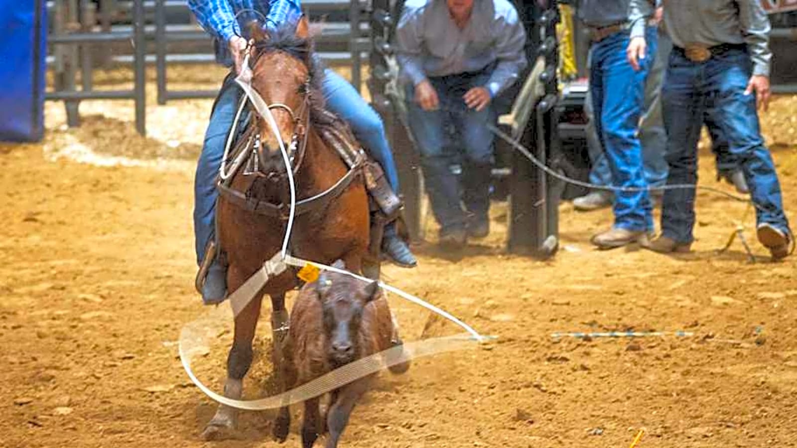 Panoka Stampede Splashing The Cash On This Year&#39;s Rodeo Contestants