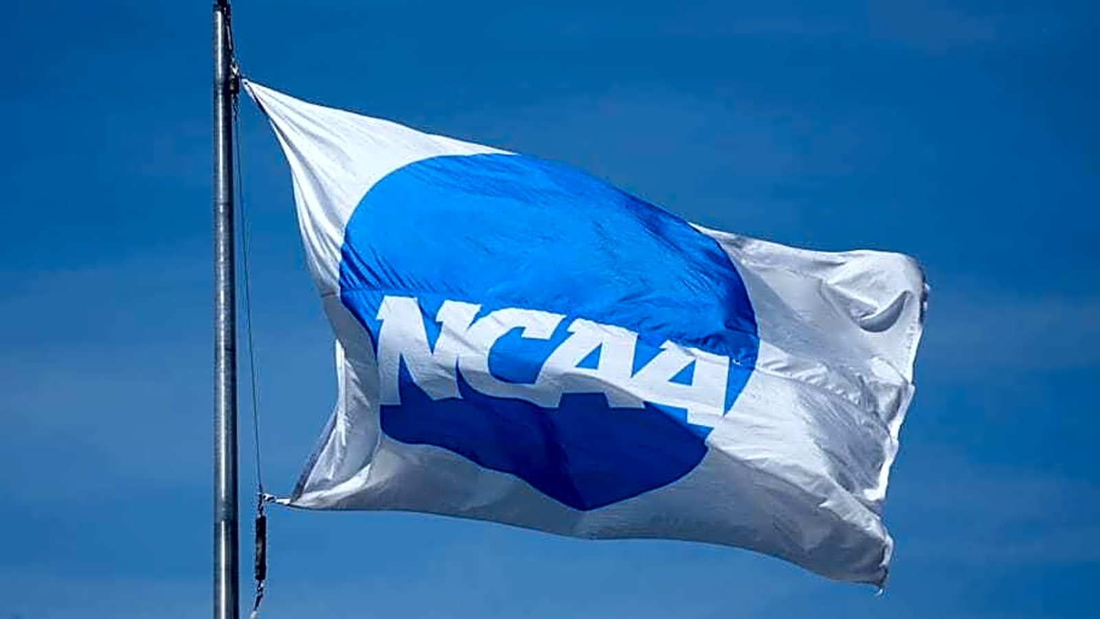Wildcats Athletics Can Have More Players On Scholarship Under Settlement