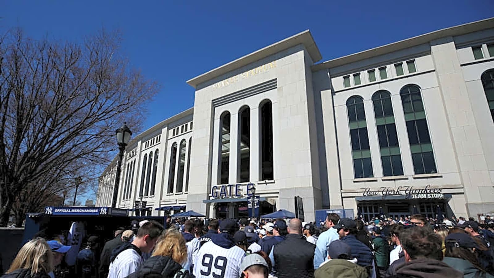 New York Yankees Fan Goes Viral For Incredible Blindfolded Catch on Saturday