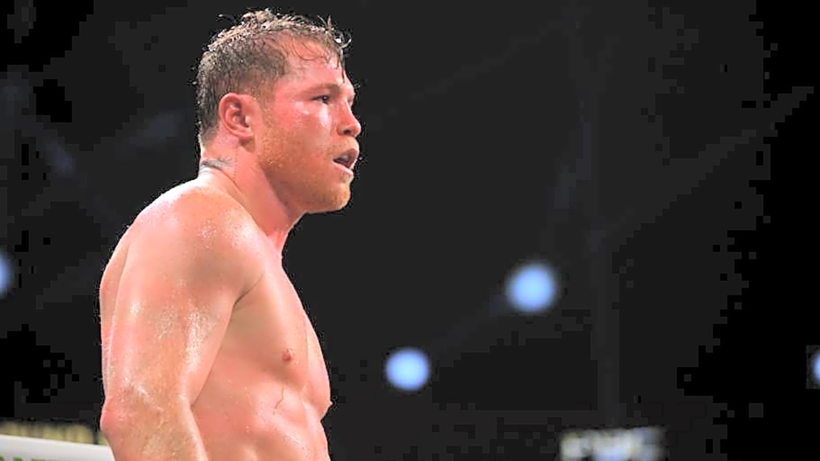 David Benavidez Claims Turki Alalshikh Wants To Make Canelo Alvarez Fight
