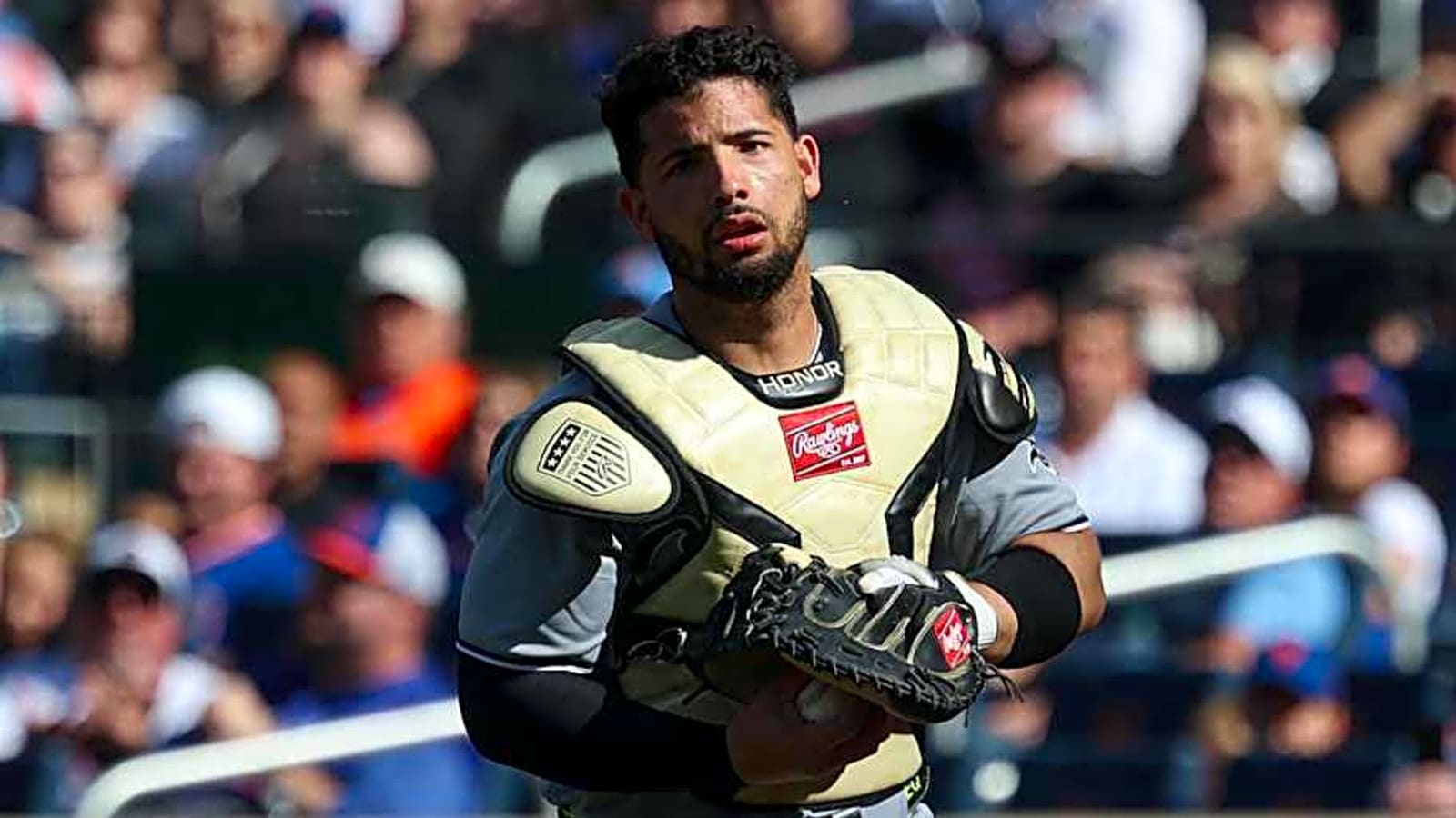 How Chicago White Sox Plan To Divide Catching Responsibilities