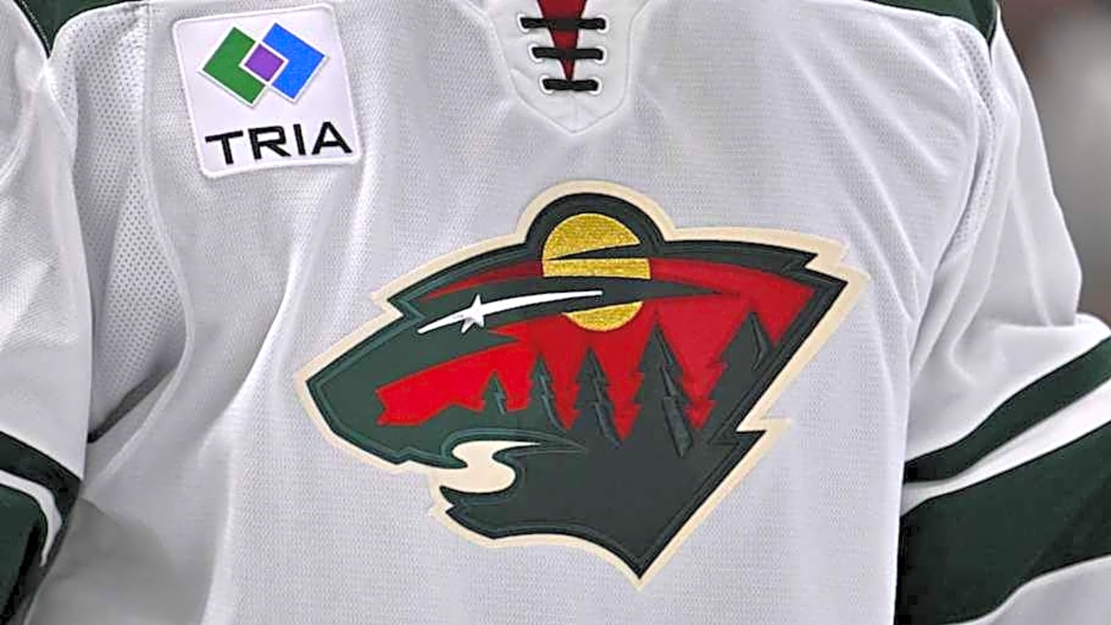 NHL Mourns Longtime Reporter Jessi Pierce’s Passing