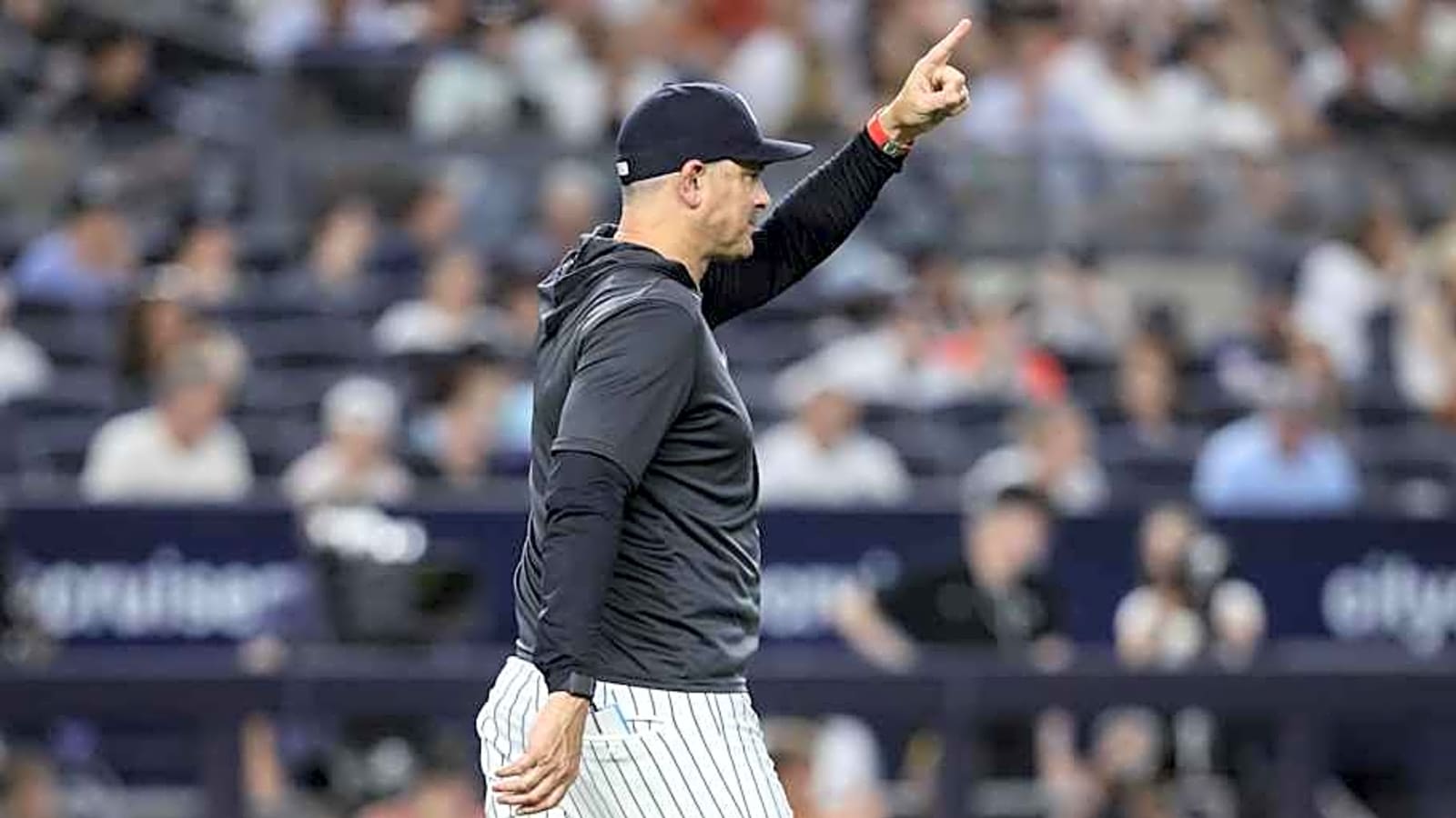 Yankees See Bright Future at Midway Point