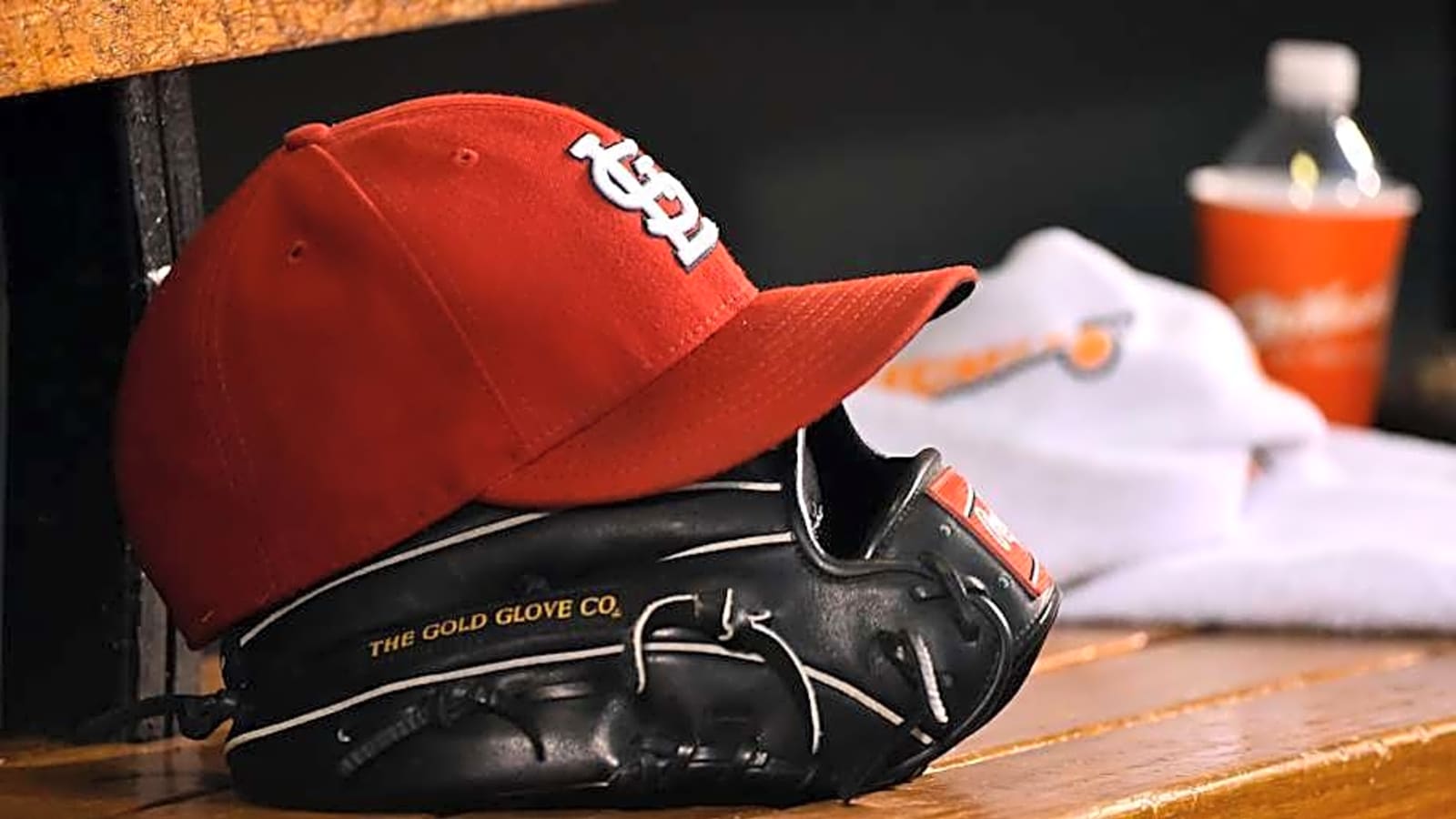 Should Cardinals Cut Ties With &#39;Expendable&#39; Specialist?