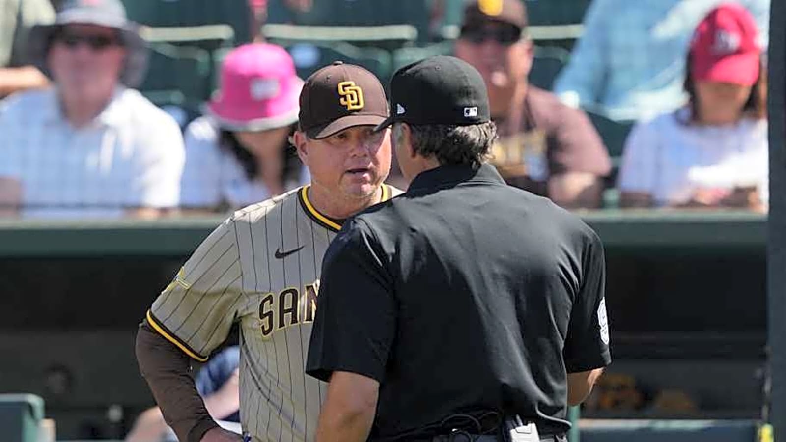 Padres Players Heap Praise on Mike Shildt, Who&#39;s Clearly Perfect Manager for San Diego