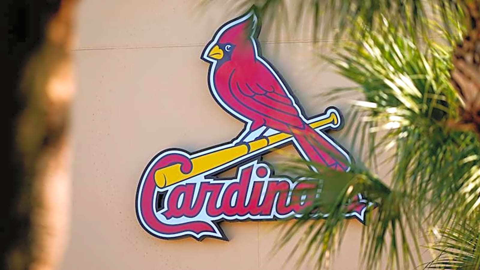 Why $87 Million Star Plans To Stay With St. Louis Cardinals