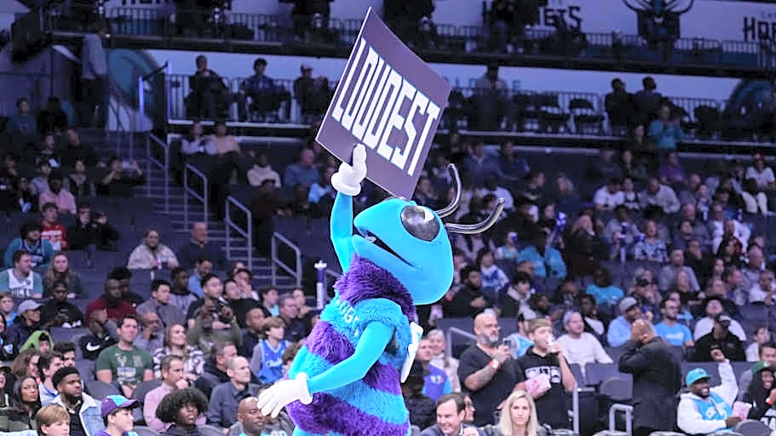Two former Hornets remain in the 2024-25 NBA Playoffs