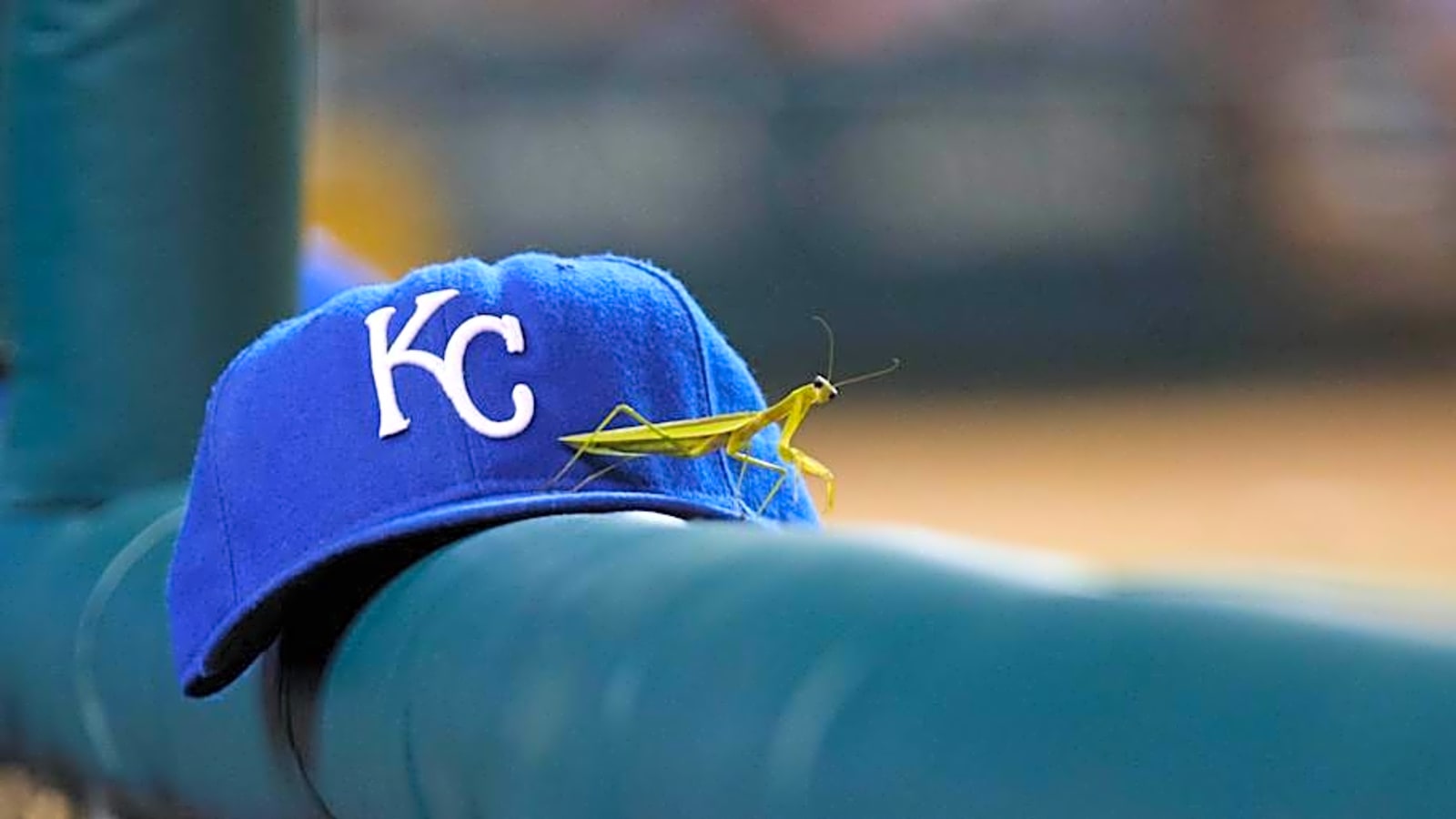 Royals Struggling Outfielder Listed As Team&#39;s Least Valuable Player In 2025