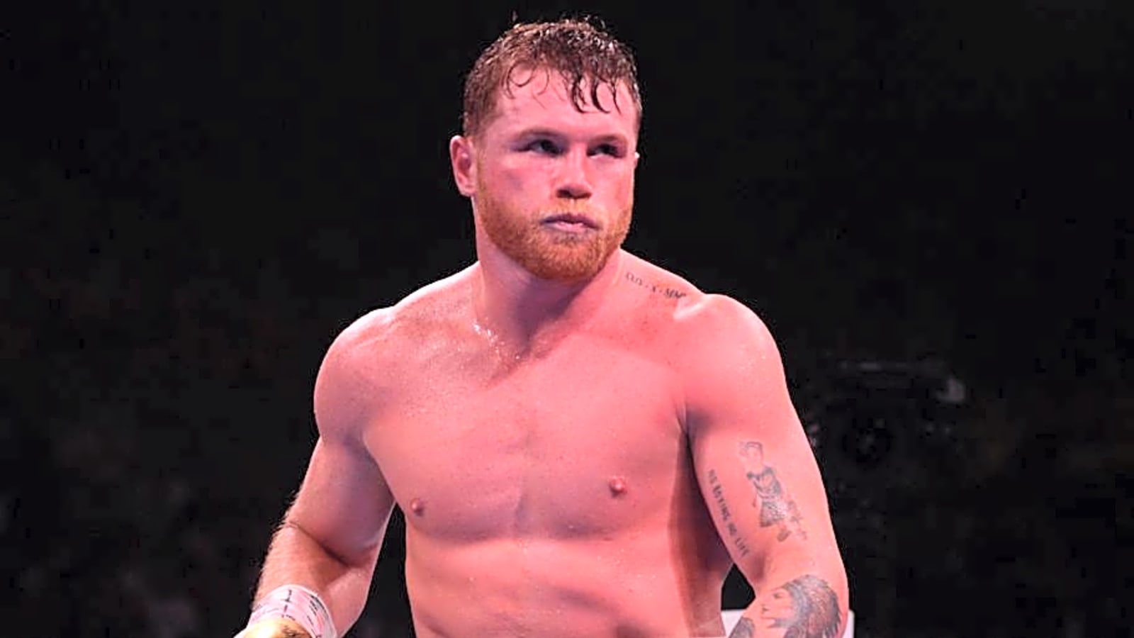 Netflix Releases Trailer For Canelo Alvarez vs. Terence Crawford Documentary