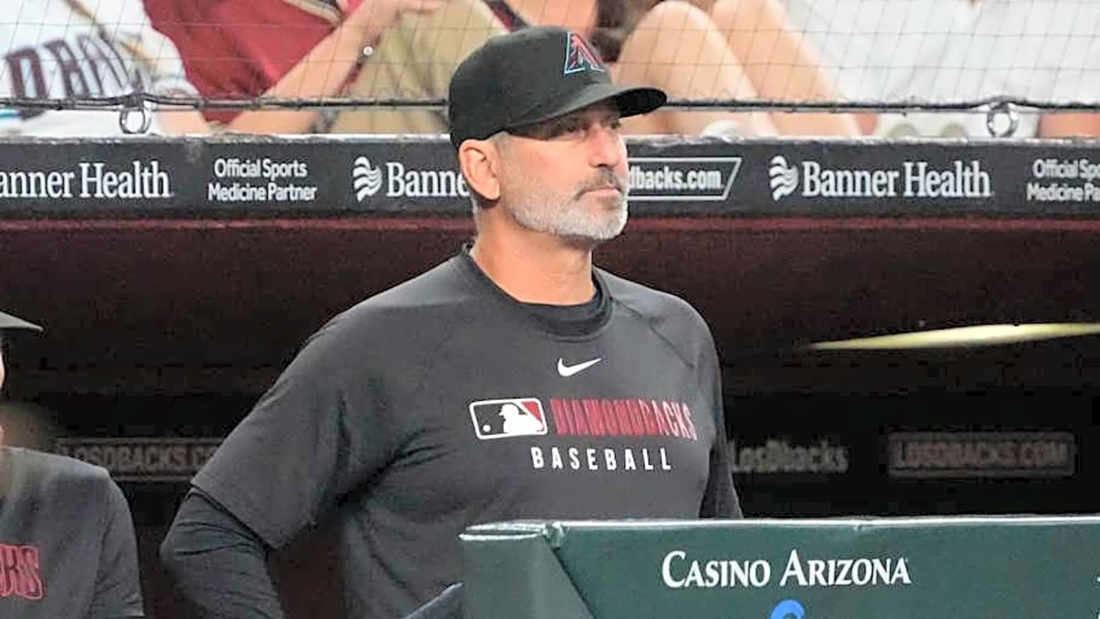Torey Lovullo Discusses Hot D-backs Topics