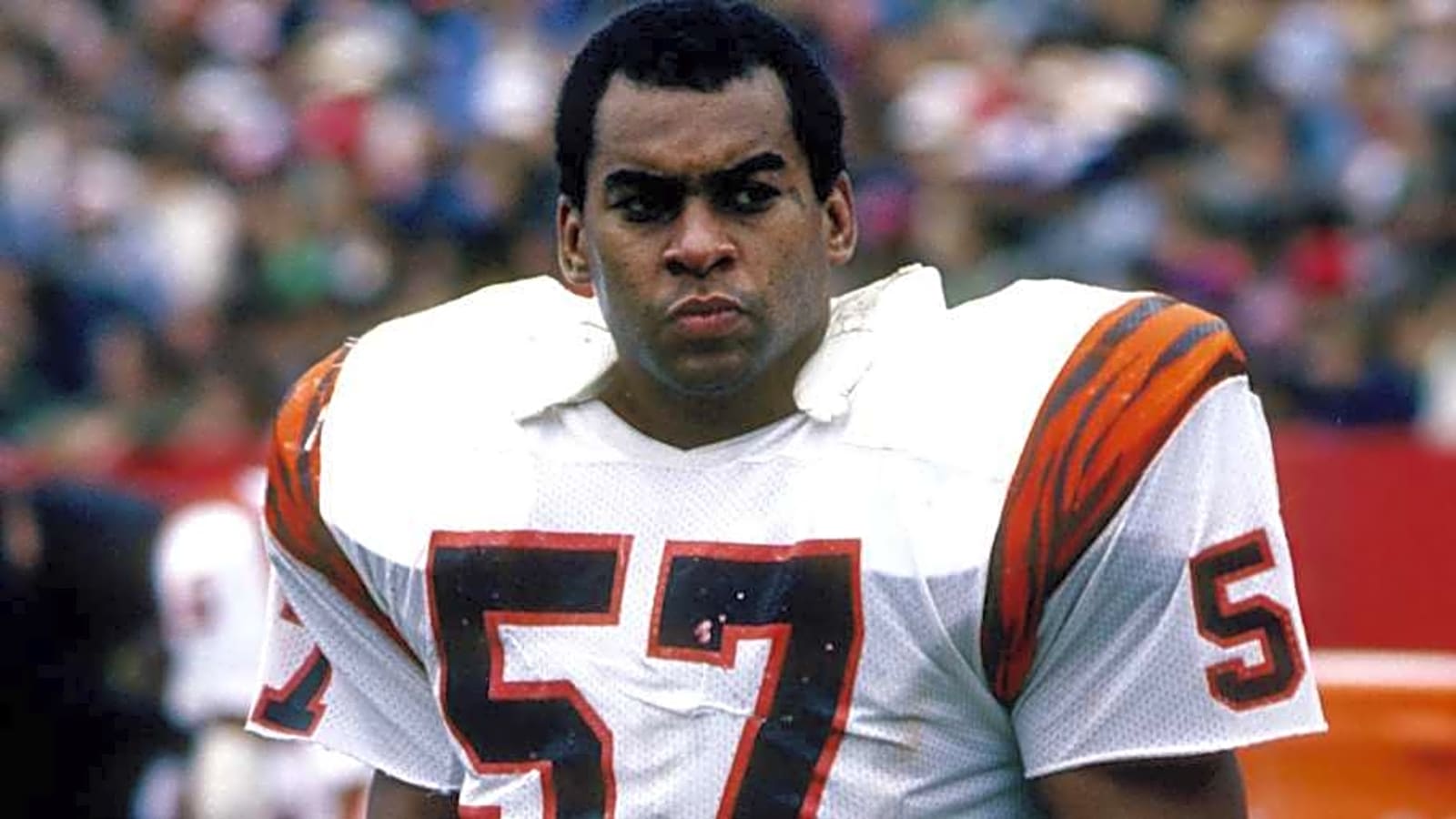 Stat of the Jay: ROH Finalist and Iron Man Reggie Williams Was One Fumble Recovery Shy of Sharing NFL Record