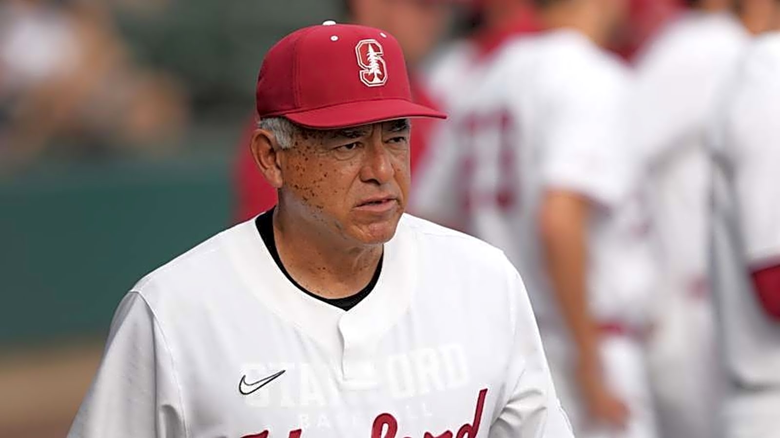 Stanford Baseball&#39;s Top Incoming Freshmen Offer Upside