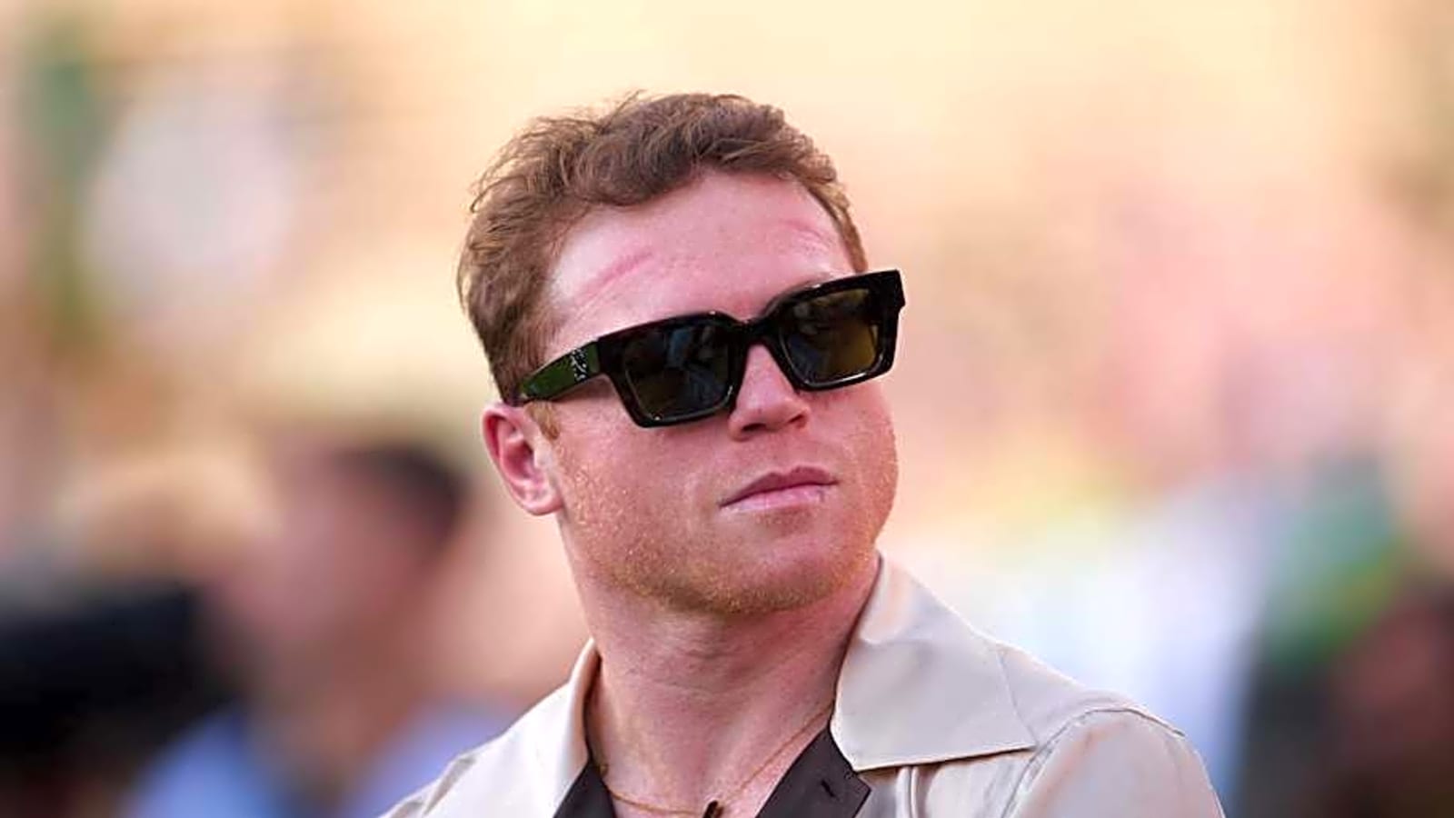 Promoter Reveals Only ‘True’ Test For Canelo Alvarez In Super Middleweight Division