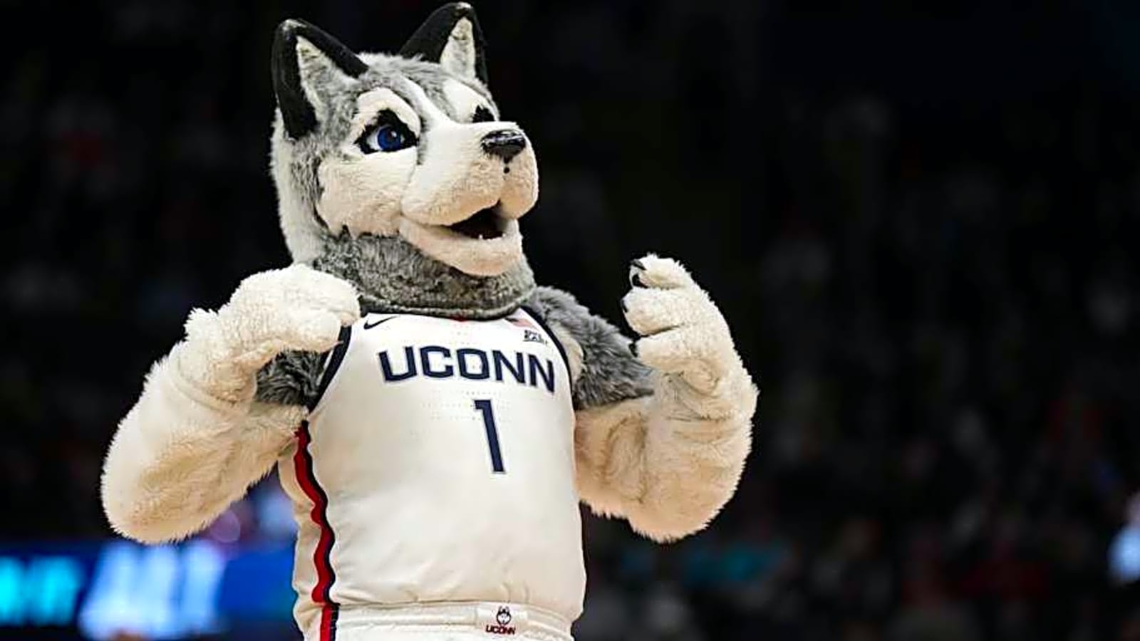 Former UConn Huskies Sharpshooter Gets New NBA Deal