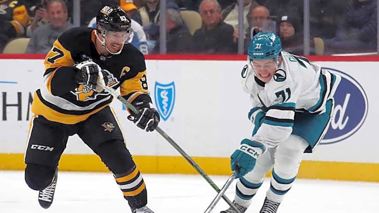 Sharks' Macklin Celebrini Drawing More Sidney Crosby Comparisons