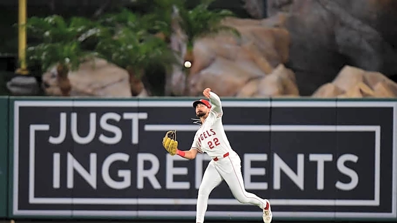 Angels Outfielder Provides Update After Concussion Scare