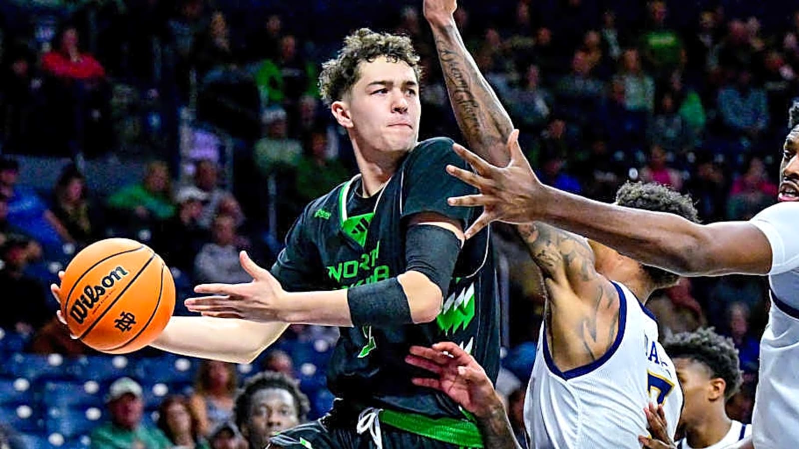 Ross Hodge Announces the Signing of Treysen Eaglestaff
