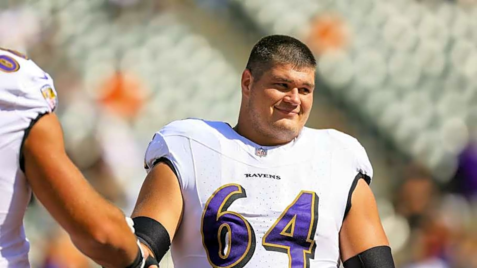 Ravens Praised for Elite Bargain Deals