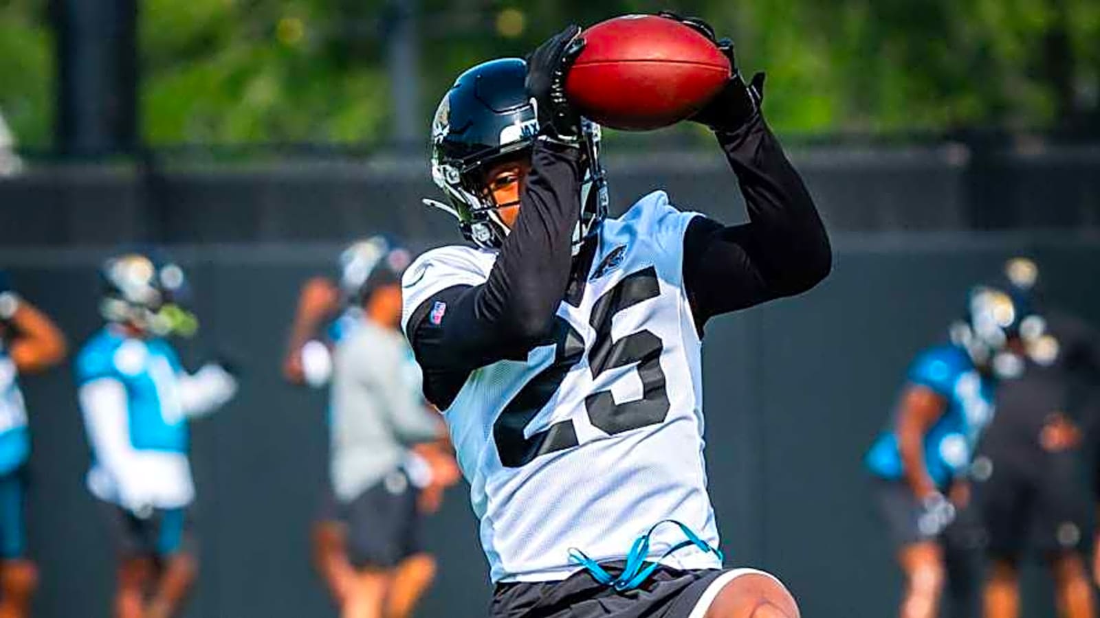 What Drew the Jaguars to Rayuan Lane
