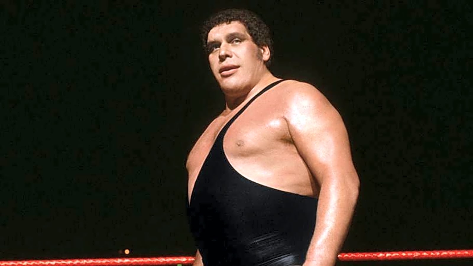 10 Tallest WWE Wrestlers Of All Time