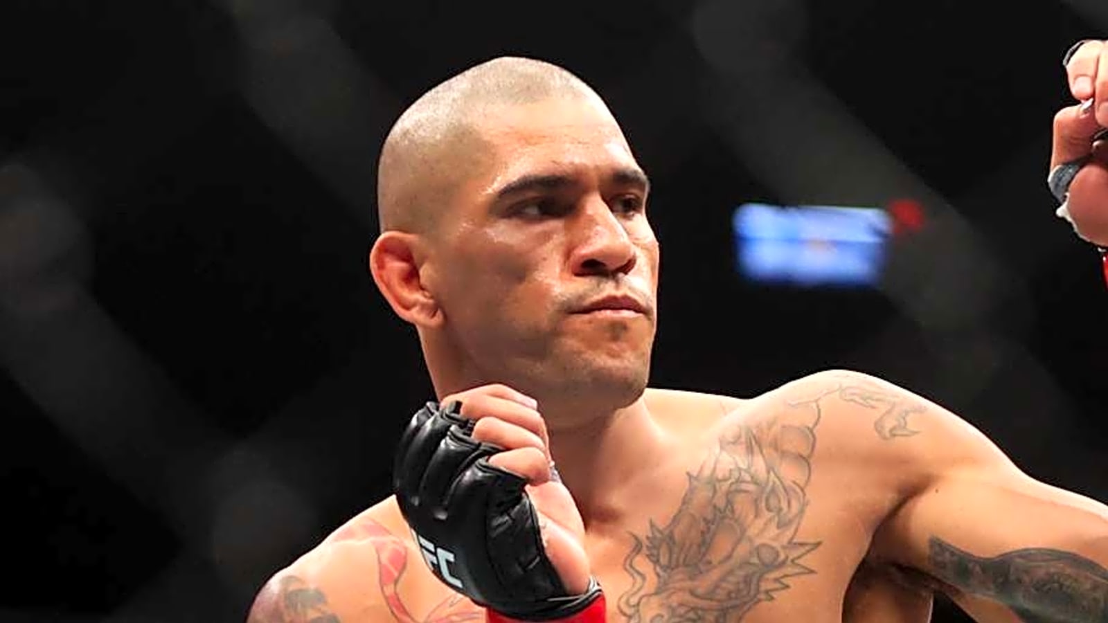 Alex Pereira silences major UFC fan theory