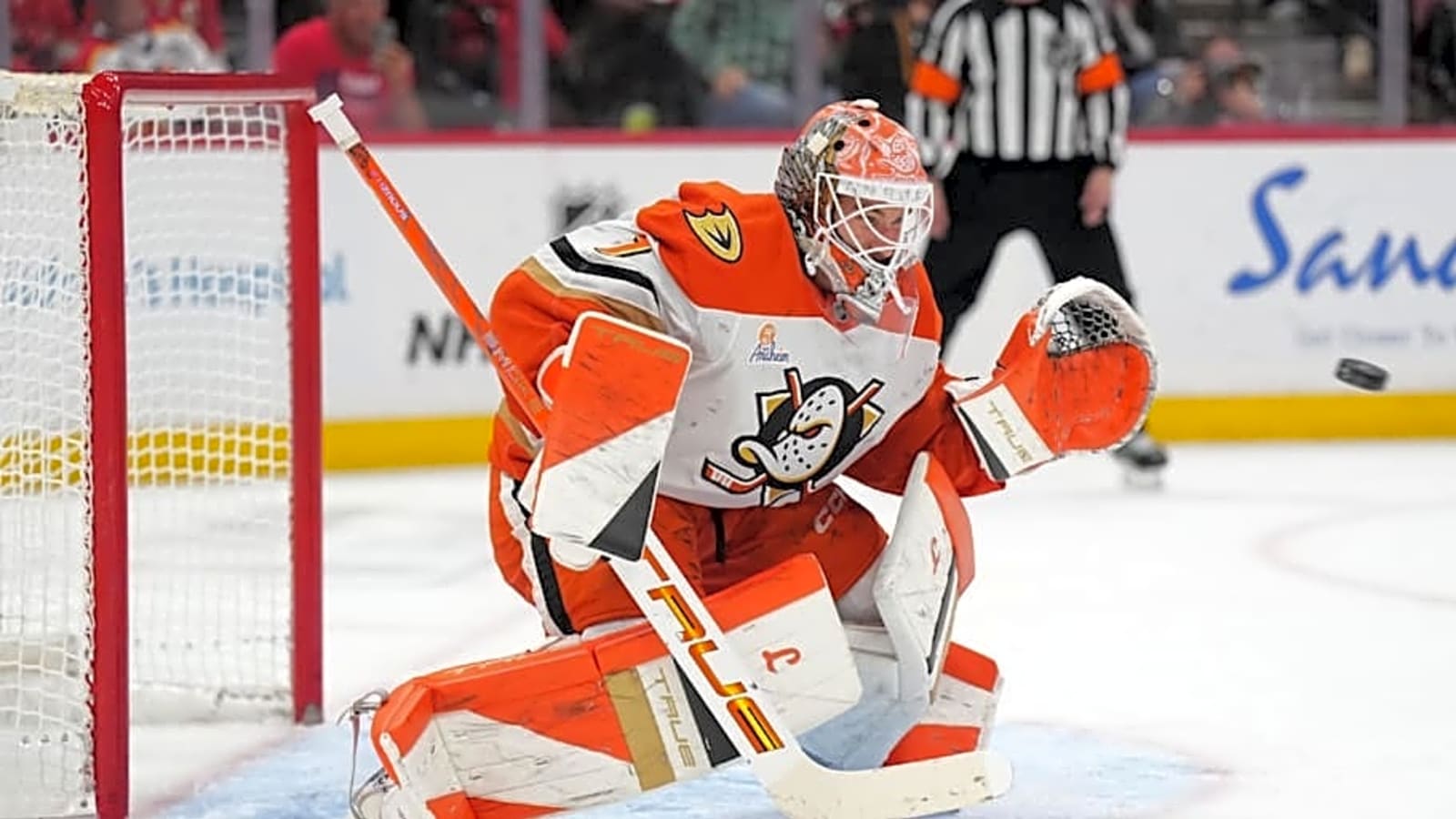 Ducks' Lukas Dostal Leads NHL Stars of the Week