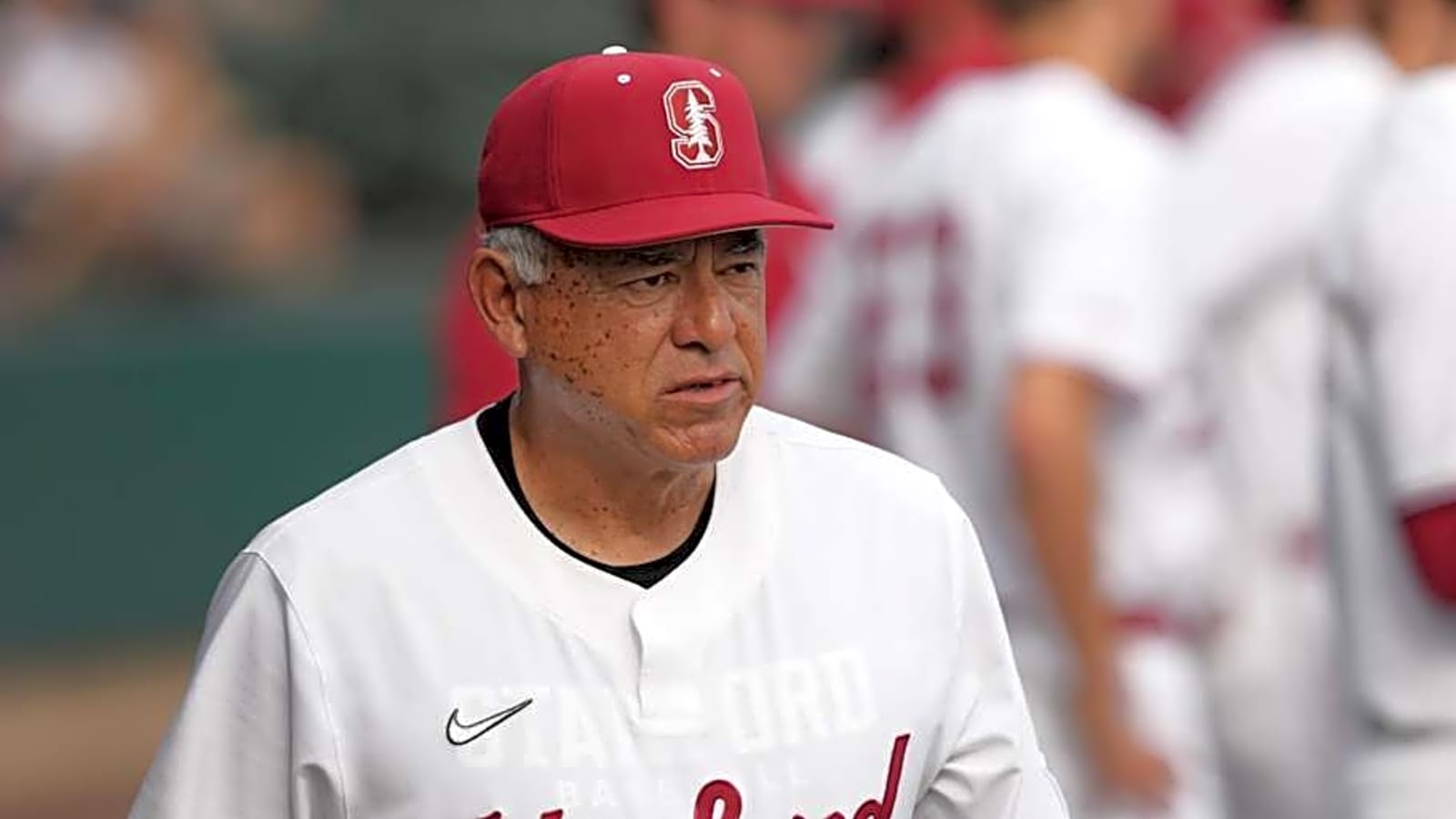 Stanford's David Esquer Reaches 300 Wins with Program