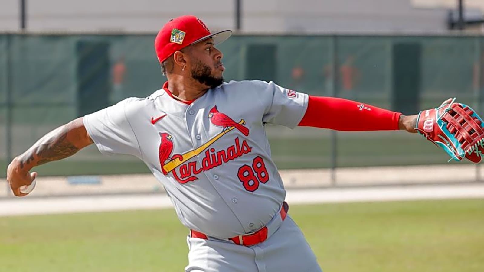 Cardinals’ Power Problem Makes Slugger Roster 'Wild Card'
