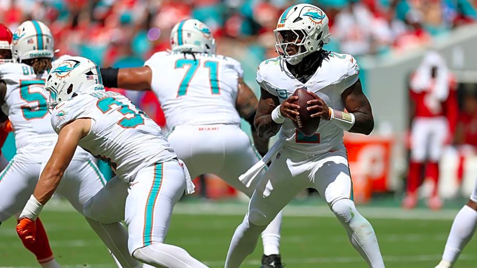 Grading the Dolphins: Surprise Groups with High Marks?