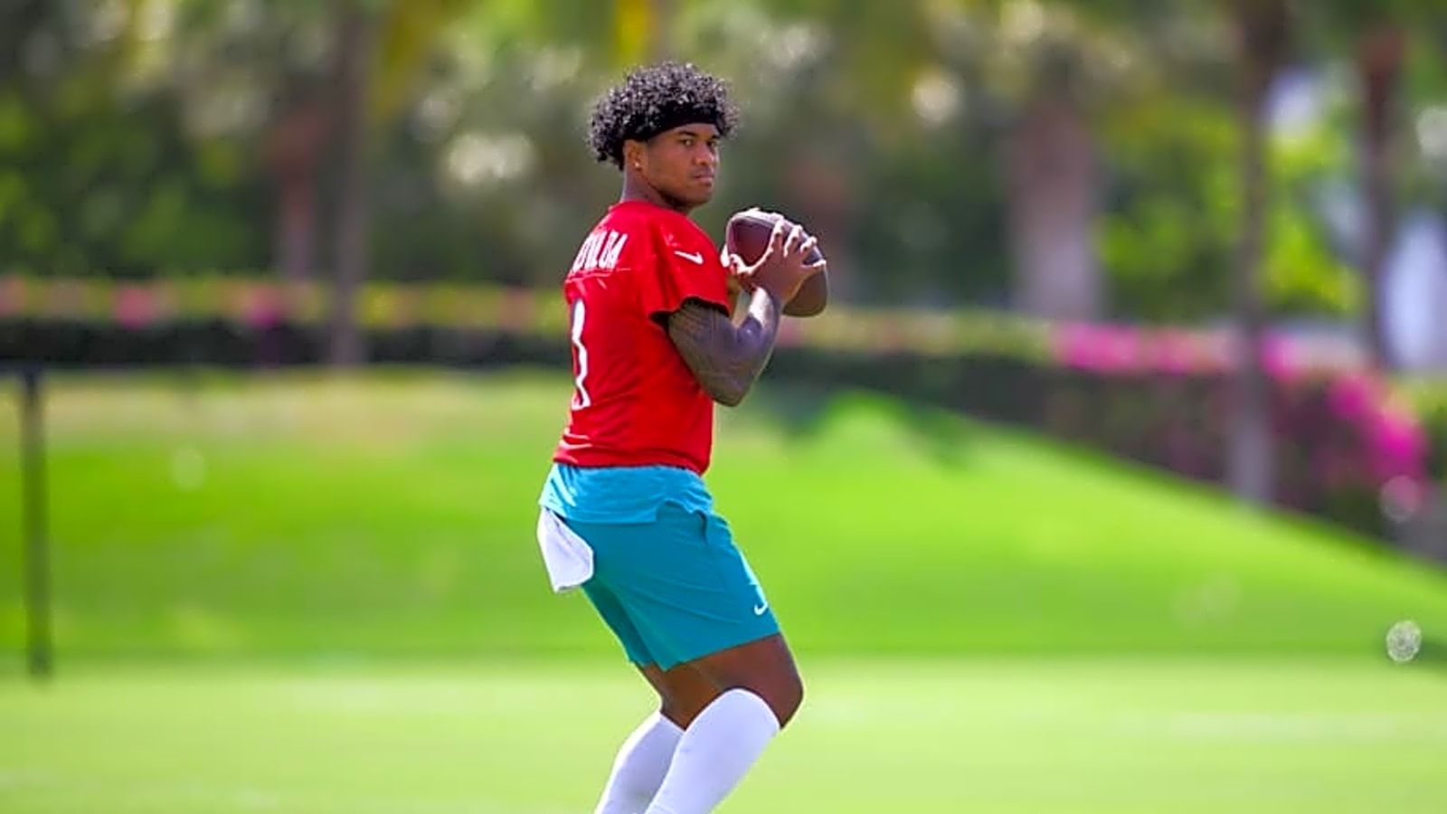 Dolphins Provide Glimpse of Early Offseason Program Work