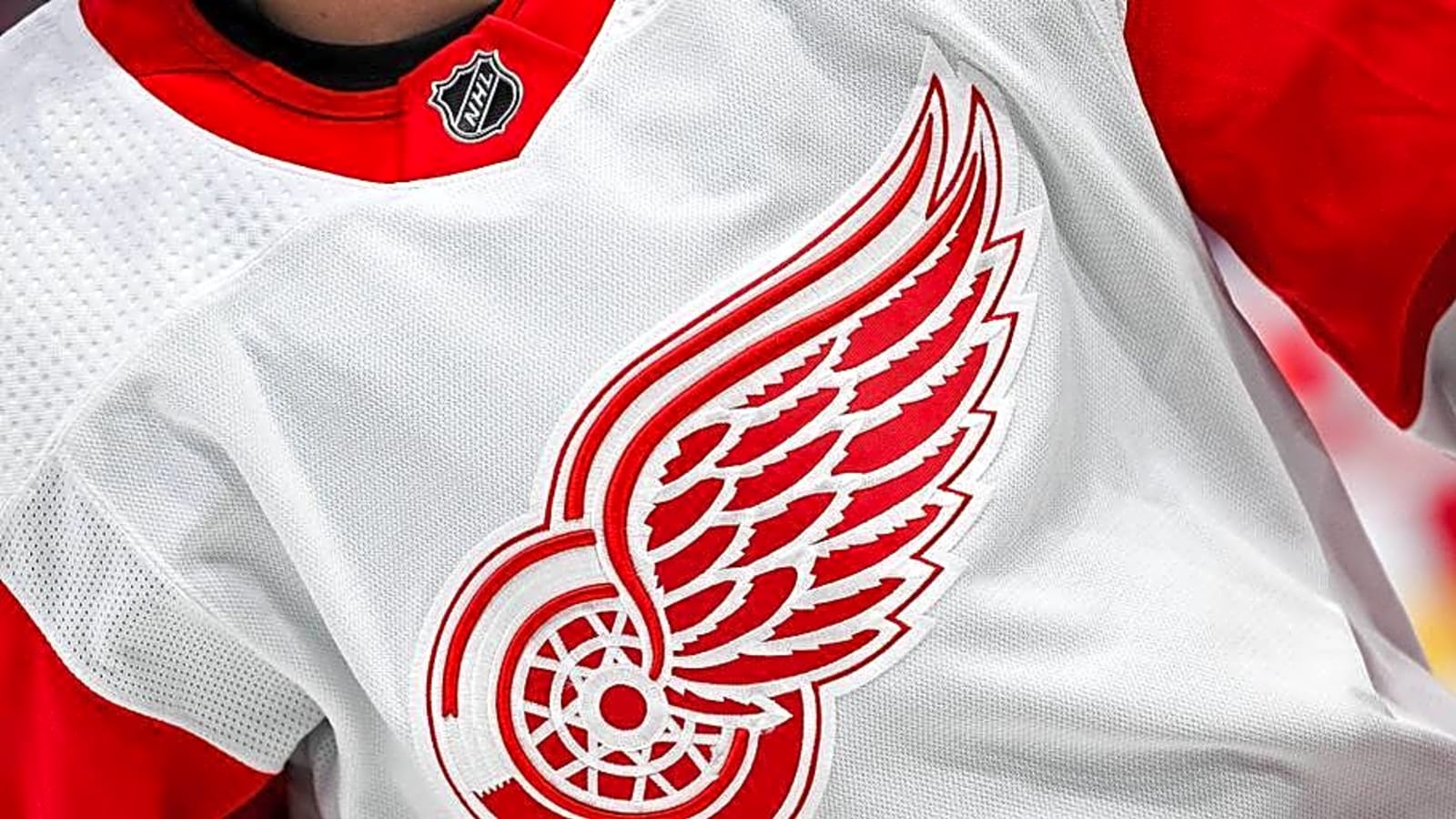 What the Red Wings Have in Newcomer Sutter Muzzatti