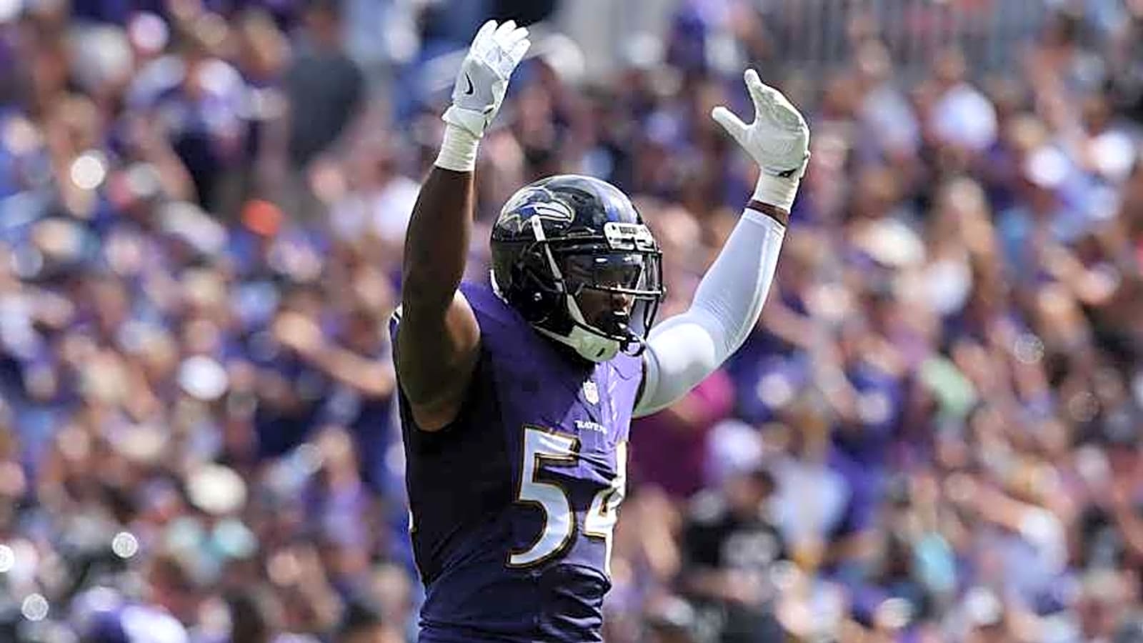 Ravens&#39; Zach Orr Has HC Potential