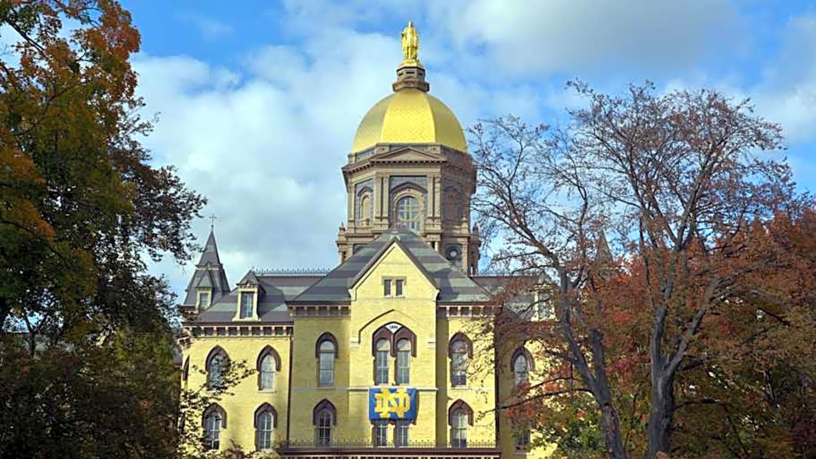 Former Notre Dame Star Transfers to College Baseball Powerhouse