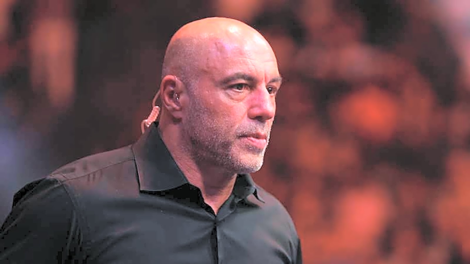 Joe Rogan has brutal outlook on Dricus du Plessis regaining UFC title