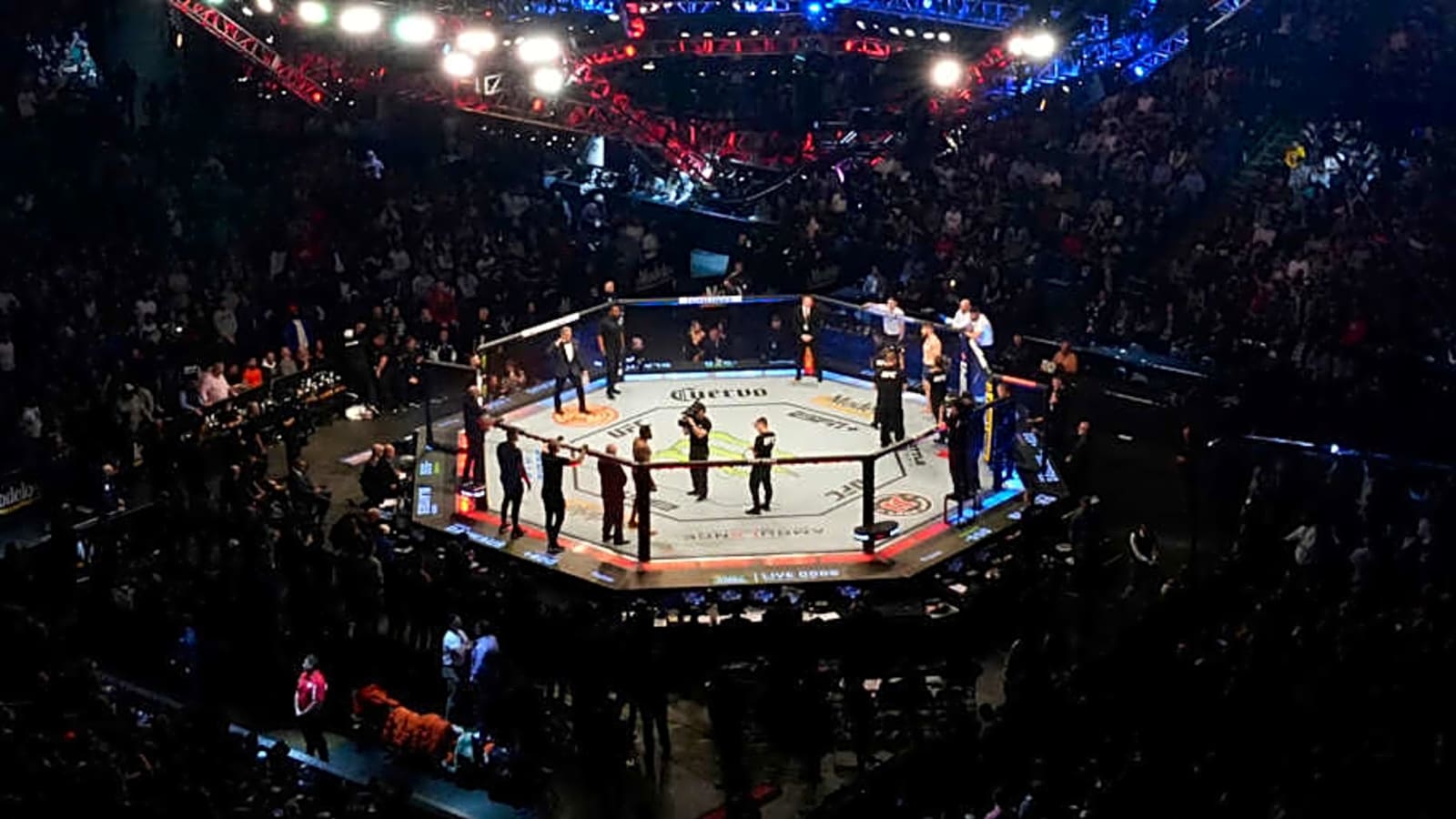 UFC 317 reportedly books wild middleweight scrap for International Fight Week