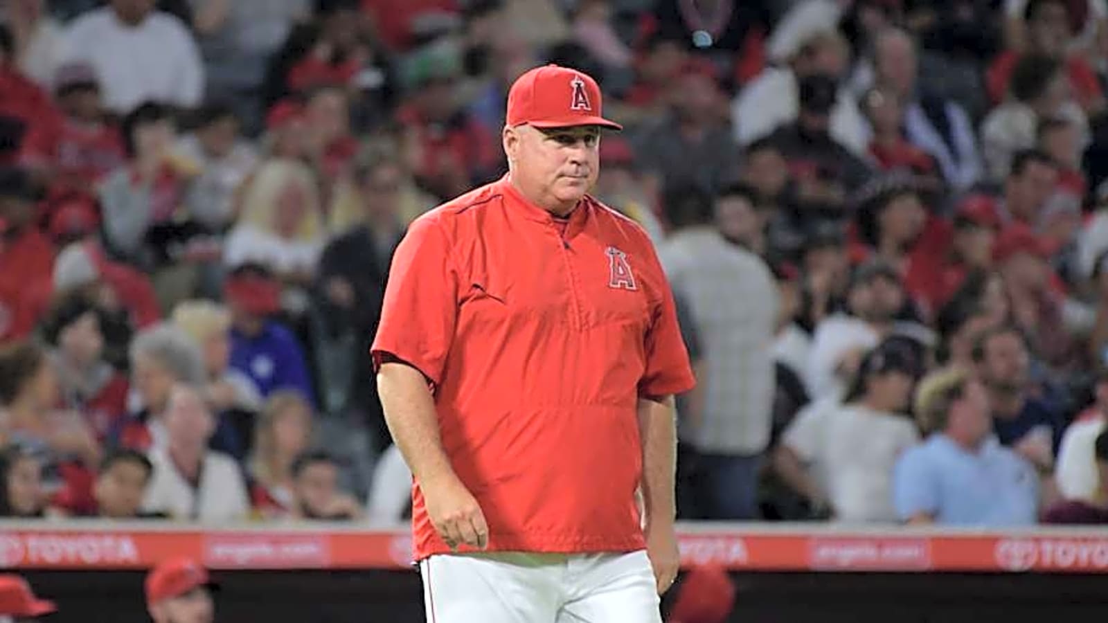 Angels Could Bring Back Mike Scioscia as 2026 Manager, Says Rival Evaluator