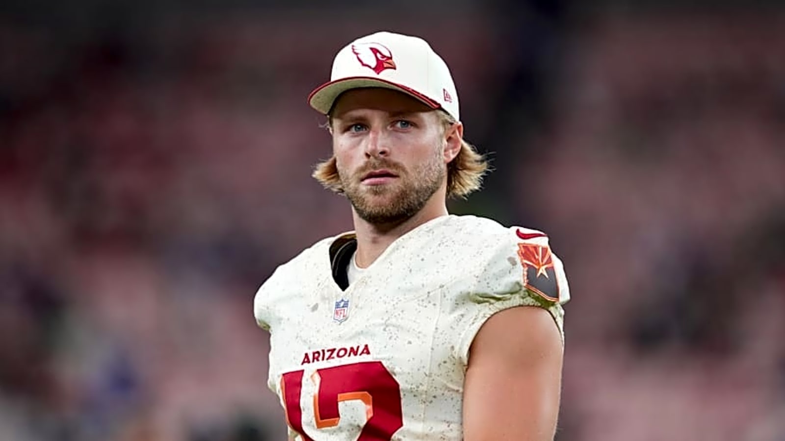 Cardinals Re-Sign One of NFL's Best Punters