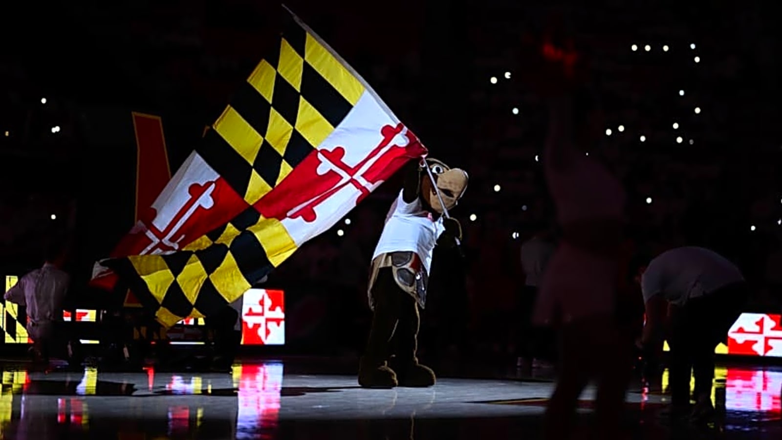 Maryland loses star player to SEC program after leading Terrapins&#39; offense
