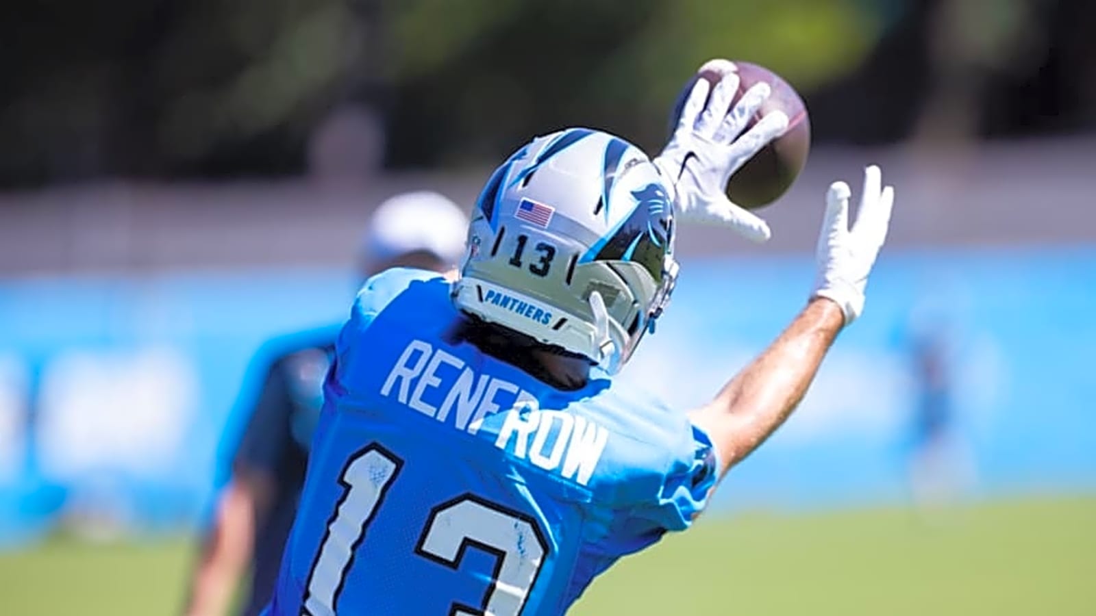 Carolina Panthers&#39; training camp darling named among NFL vets who might get cut