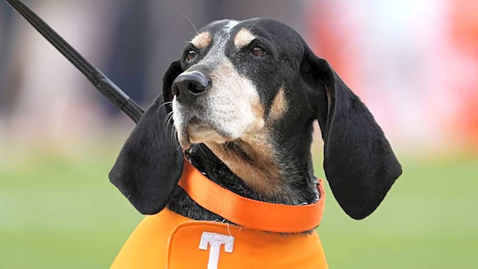 ESPN Names Tennessee&#39;s Ty Redmond As Potential Breakout Player for 2025 CFB Season