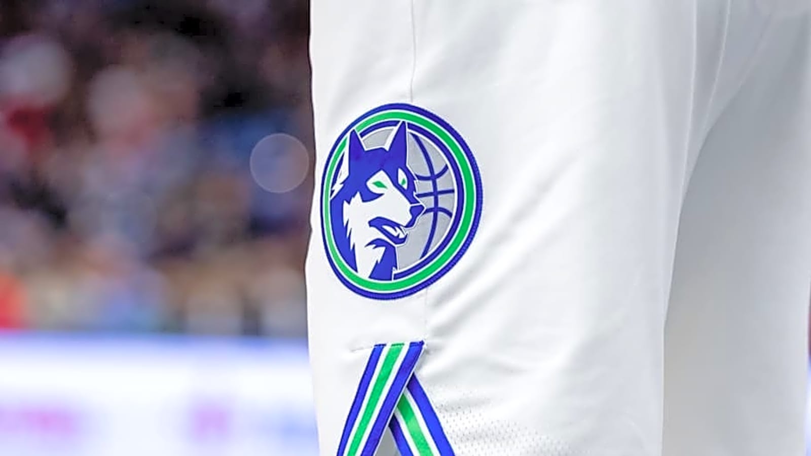 Minnesota Timberwolves Officially Sign 18-Year-Old Center