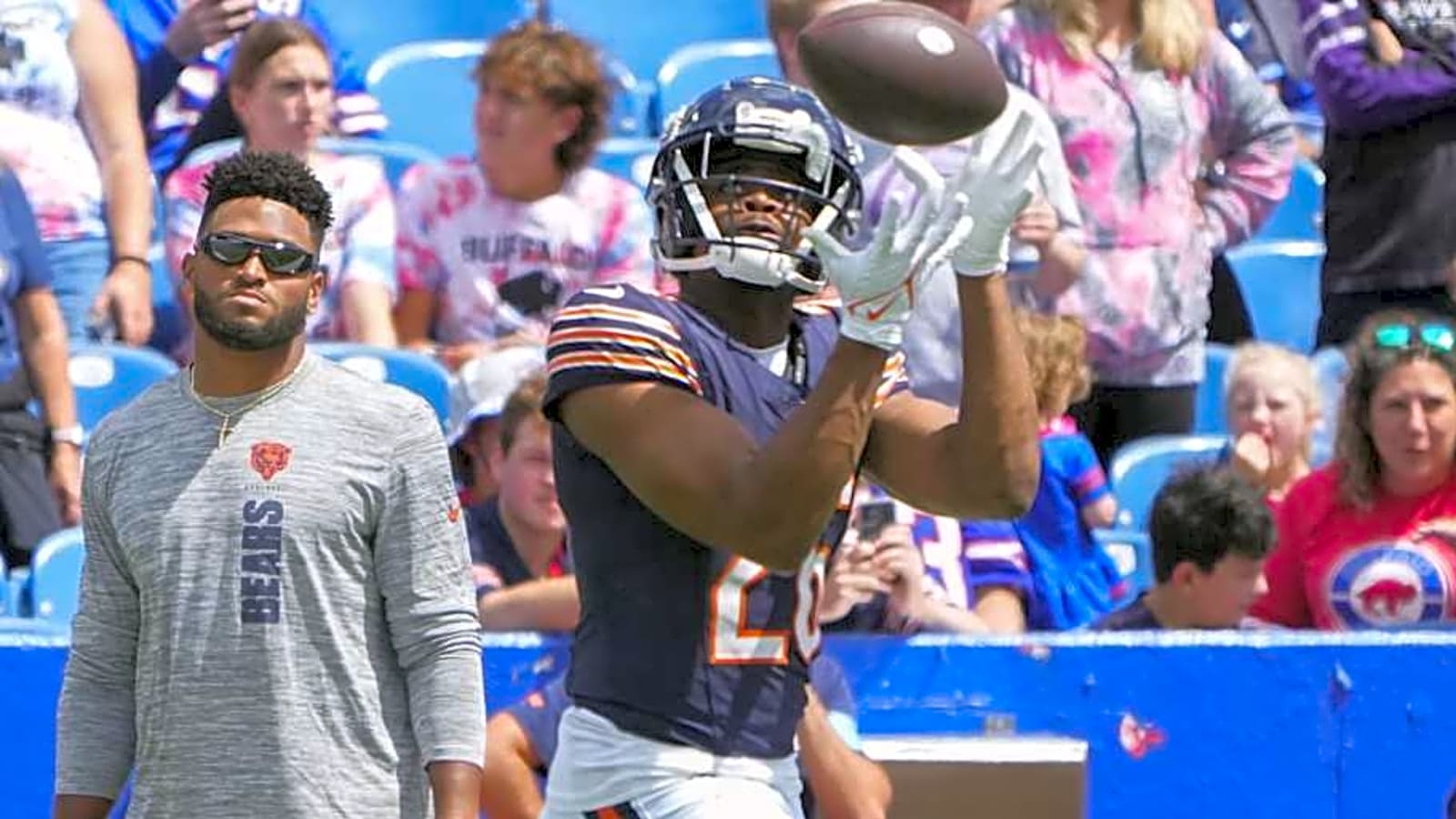 Steelers Sign Former Bears DB