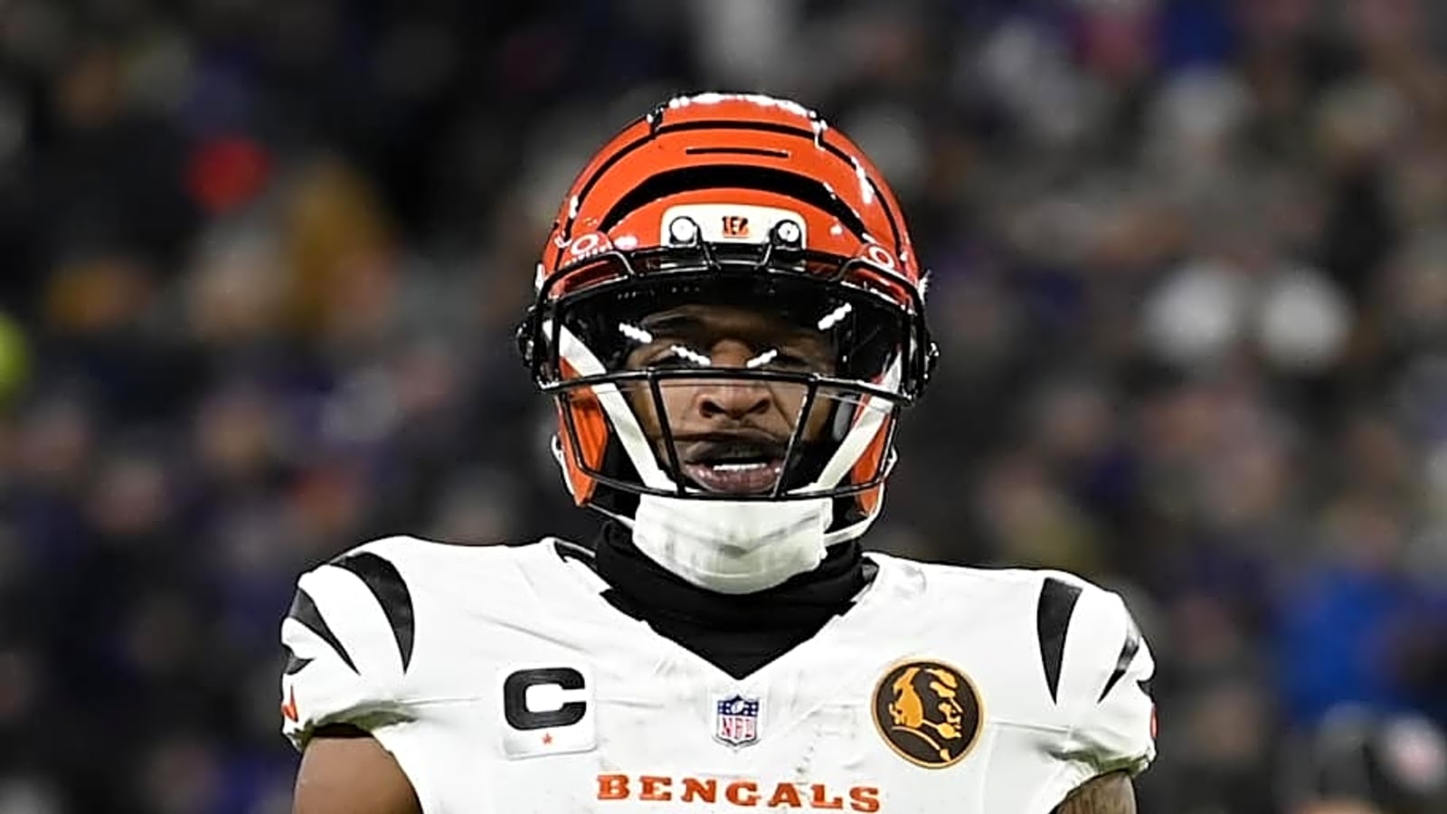 Week 17 Best Bets: Cincinnati Bengals vs Arizona Cardinals