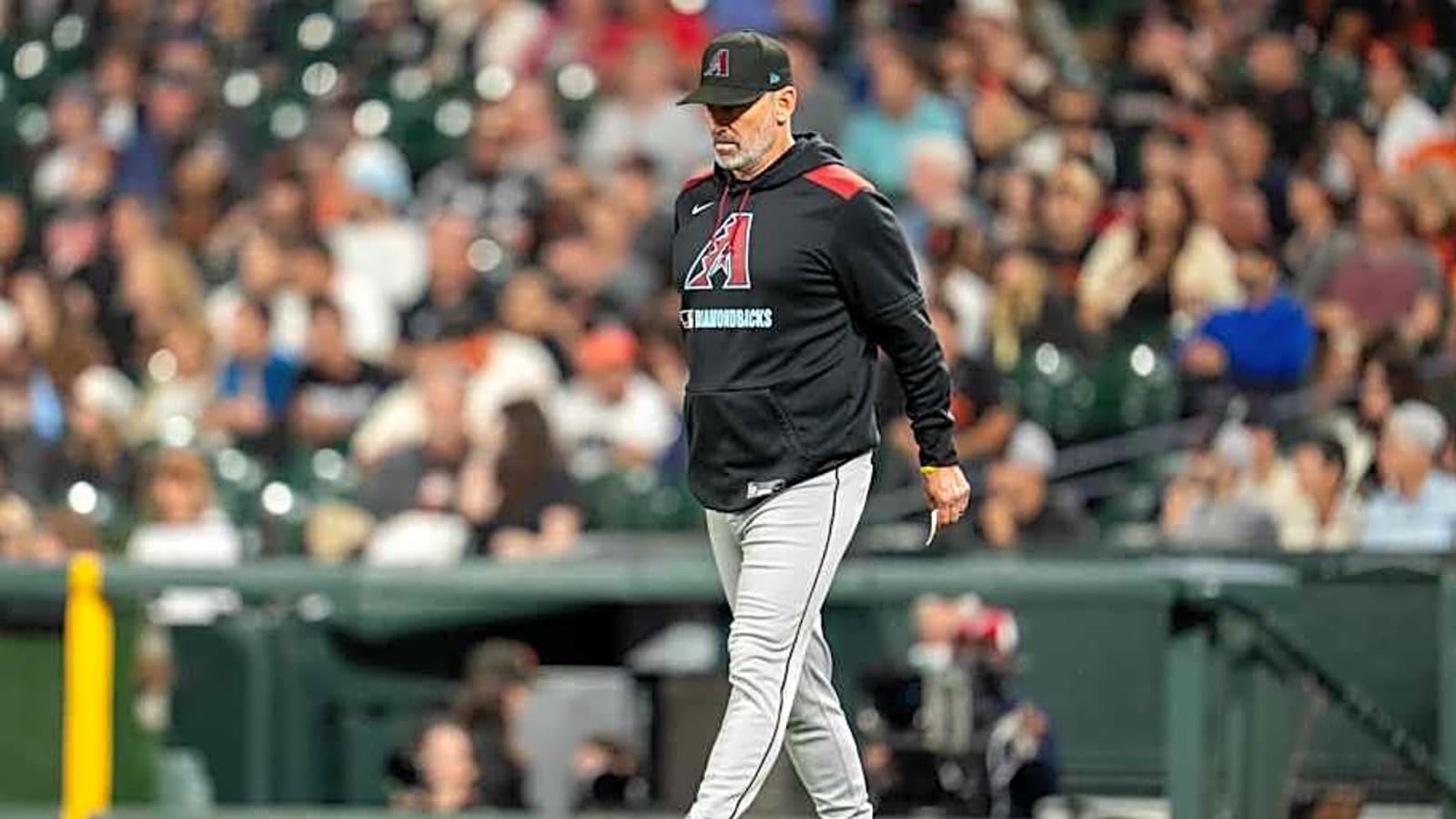 Torey Lovullo Describes Diamondbacks With 3 Words