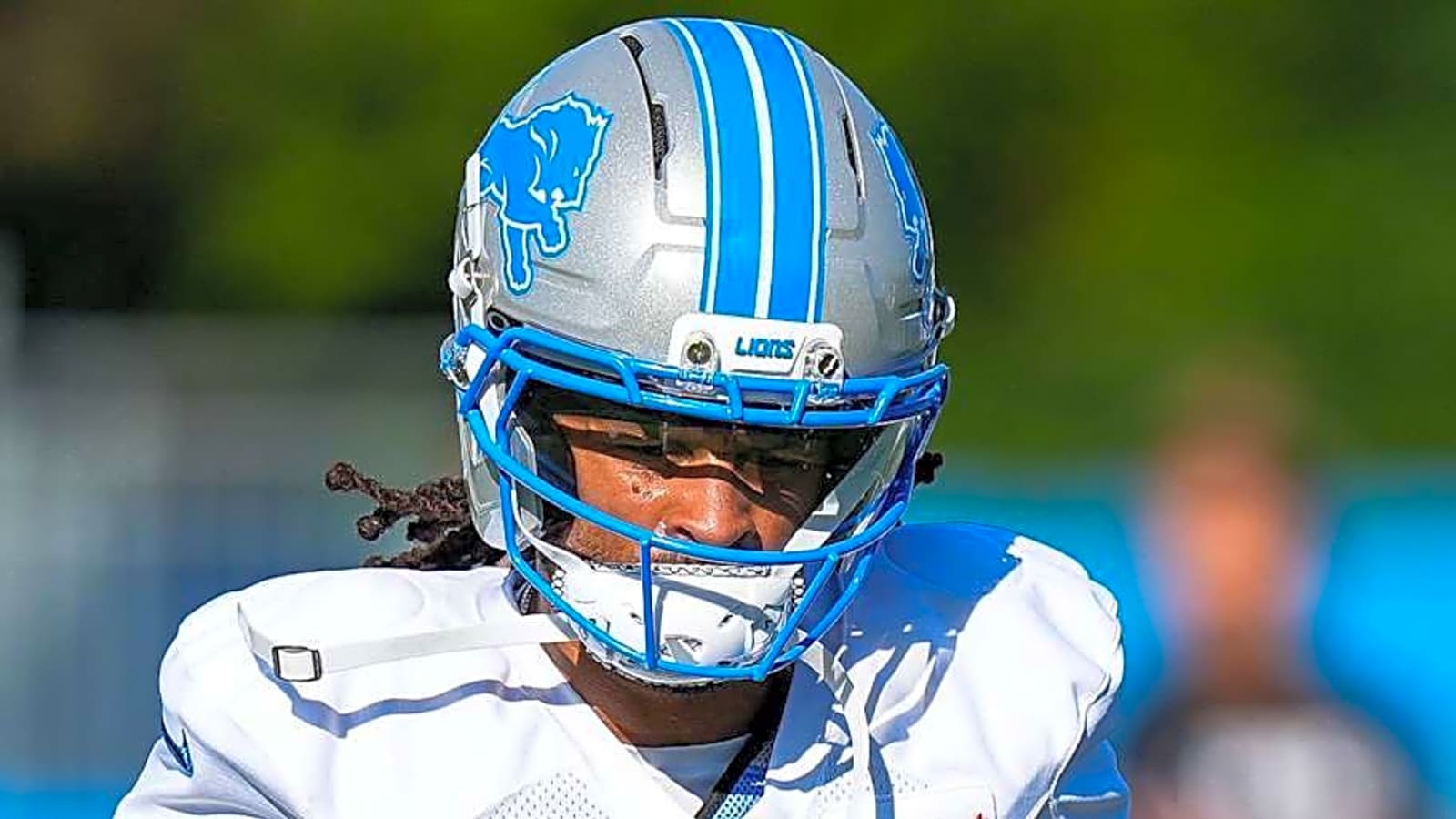 Detroit Lions Veteran Enjoying &#39;Lifelong Dream&#39;