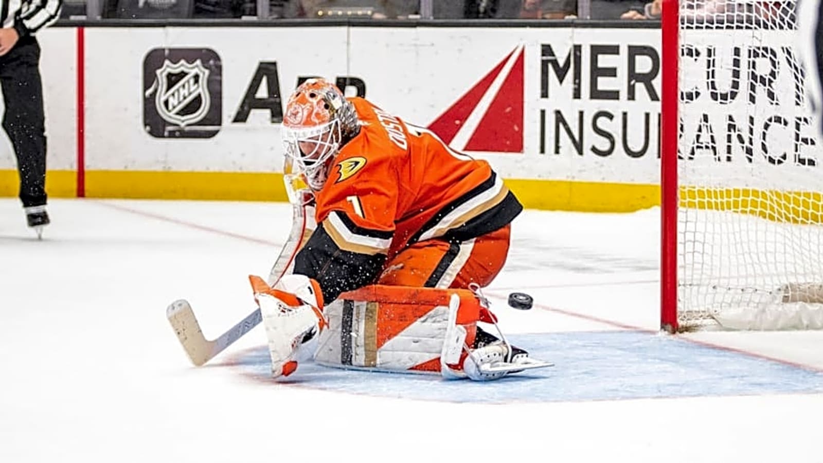 Ducks Poised to Take Over Pacific Division