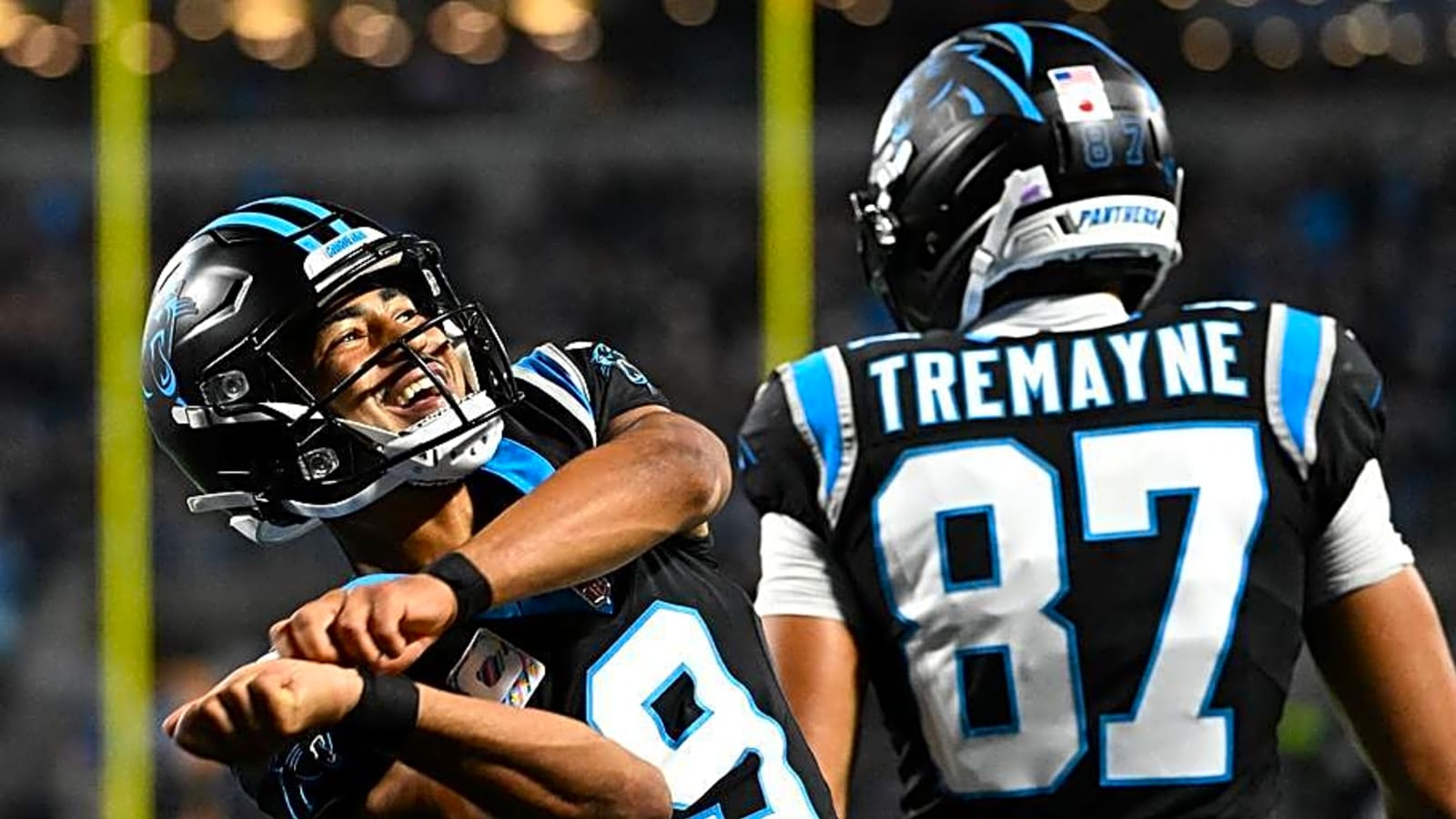 The Panthers' Most Indispensable Player Isn't Who You Think
