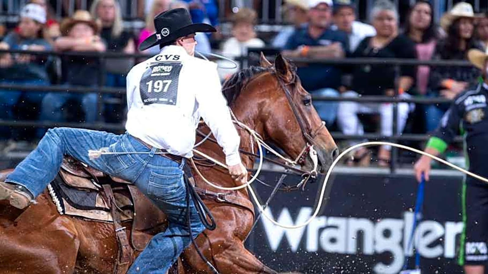 Three Rounds Down Canadian Finals Rodeo Action Elevates Champions