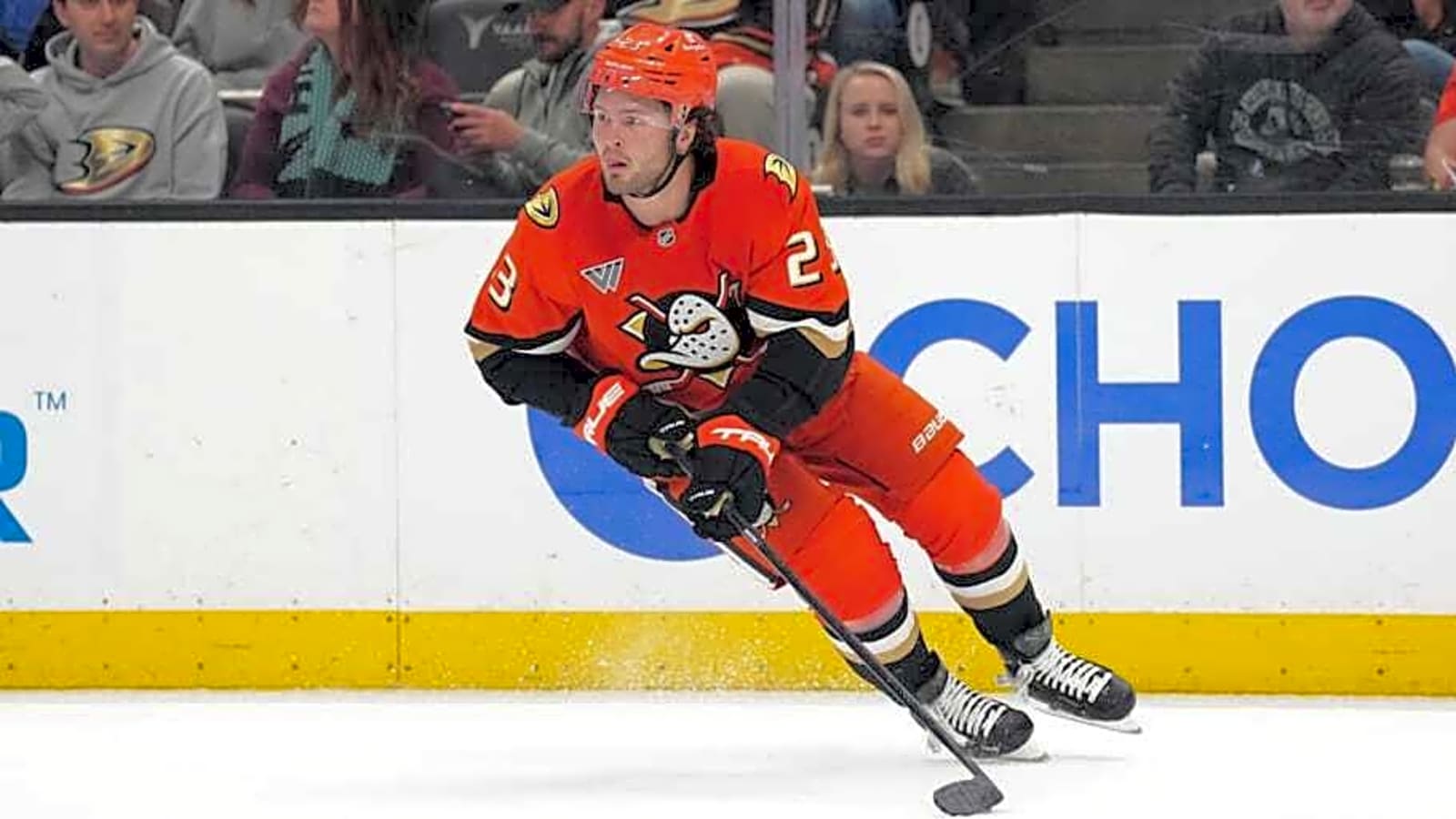 Latest Extension First of Many for Rebuilding Ducks