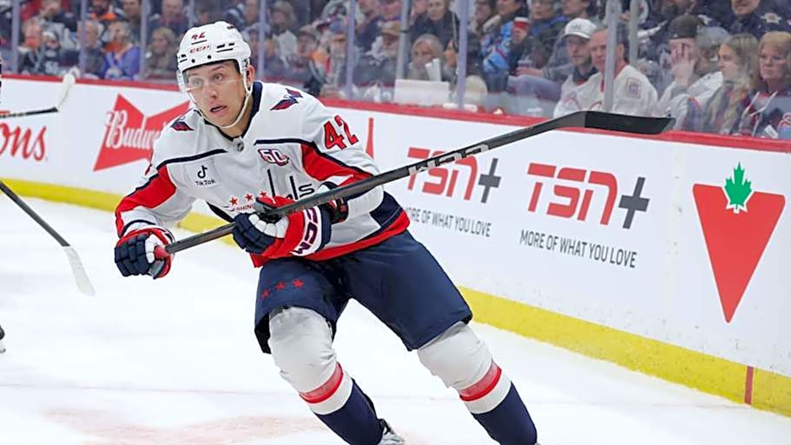 Capitals Lose Key Defenseman For Playoffs